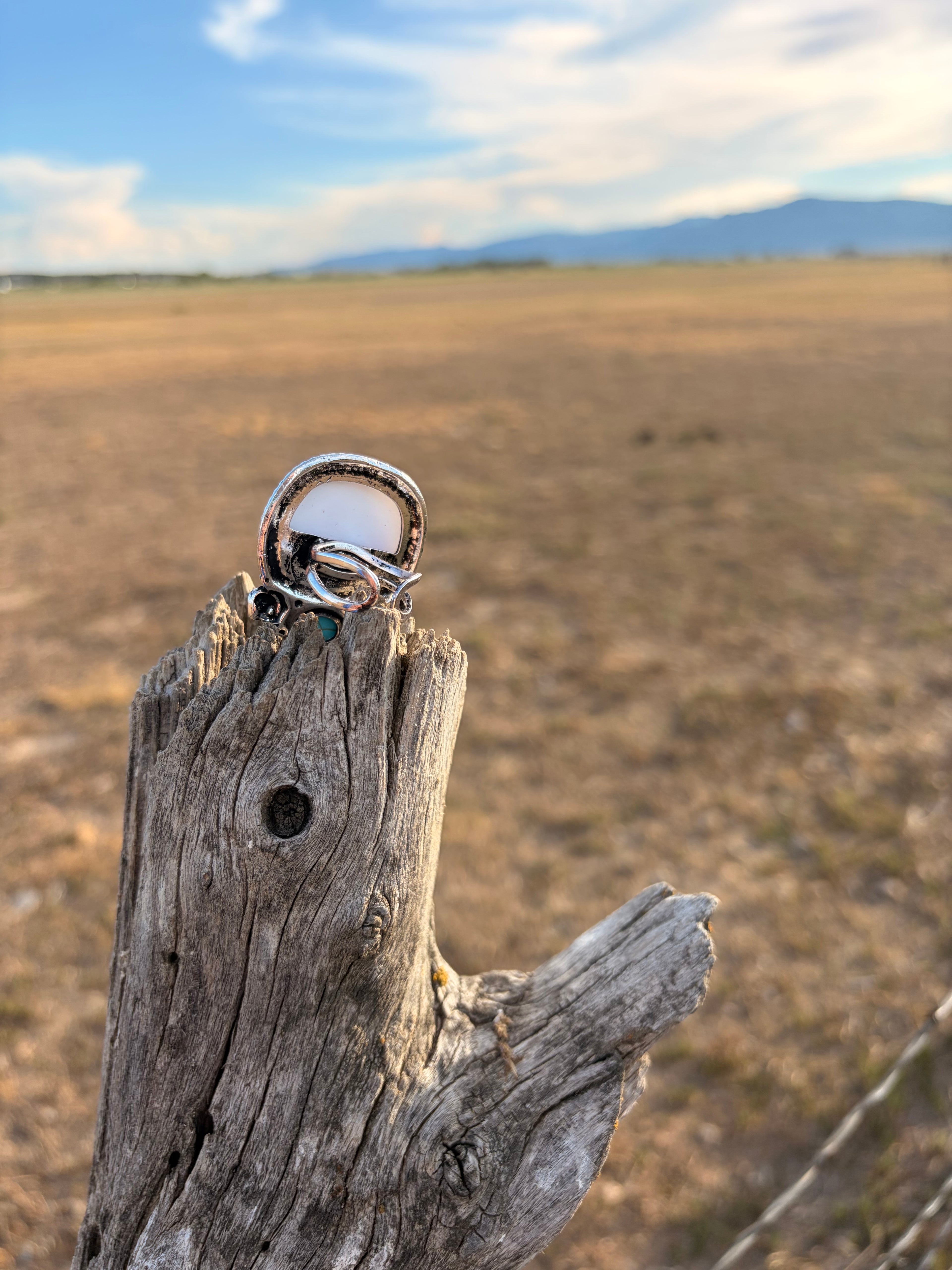 Western plains - adjustable ring