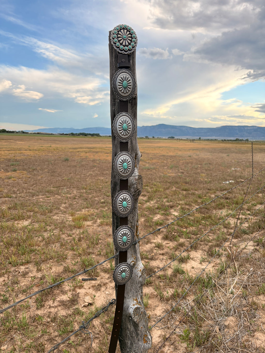 Silver sage concho belt