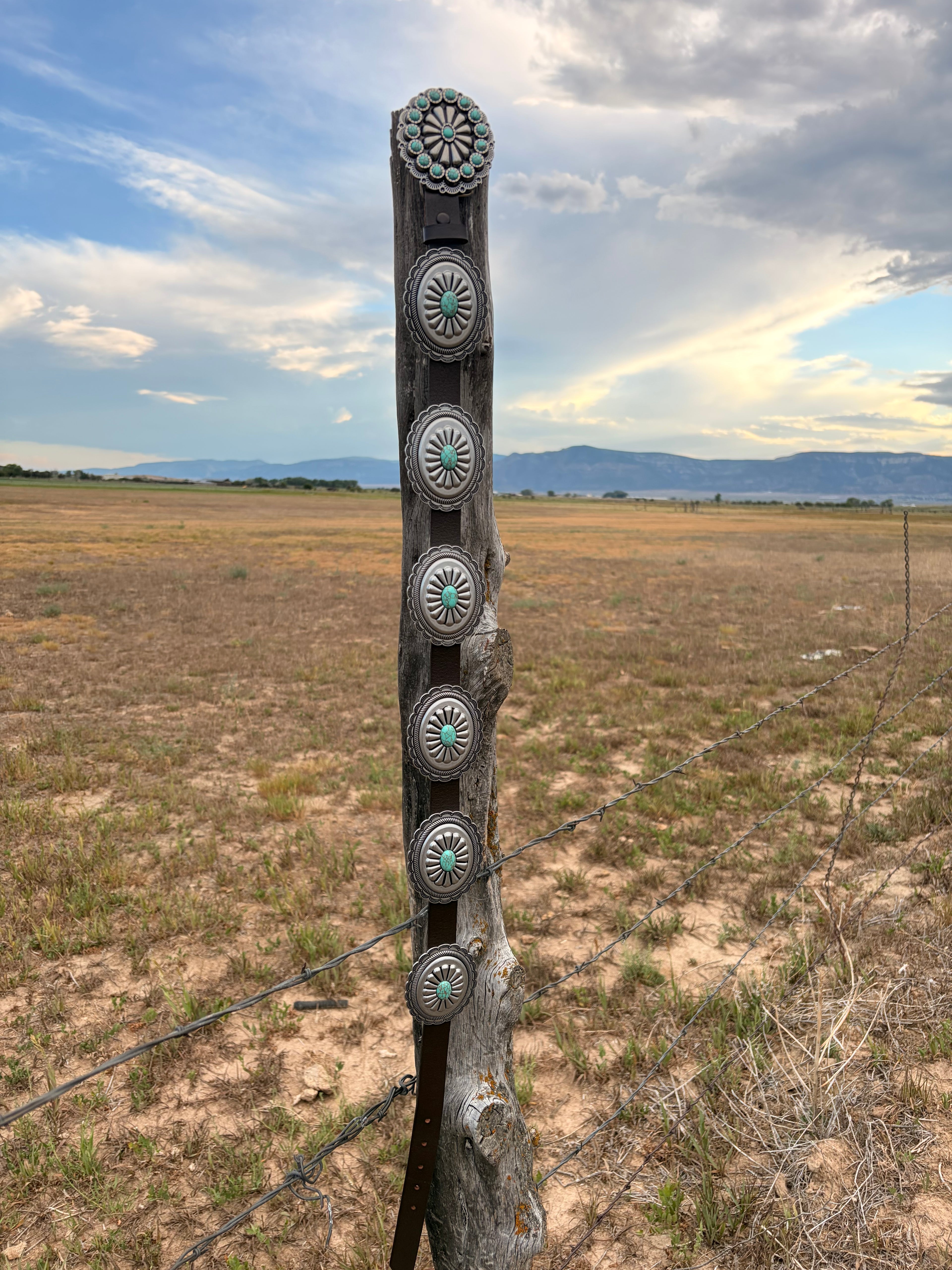 Silver sage concho belt