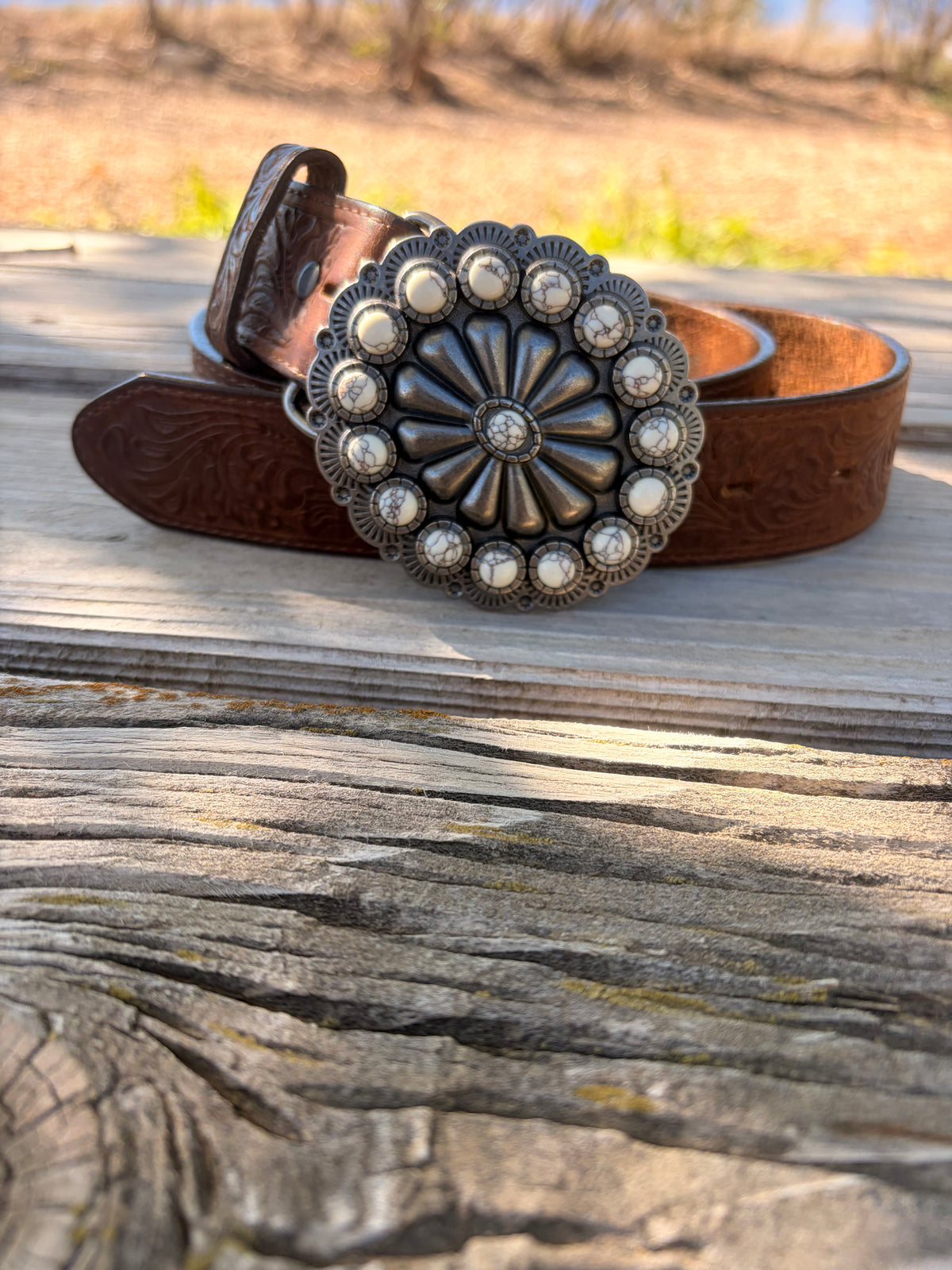 The silver sage belt buckle