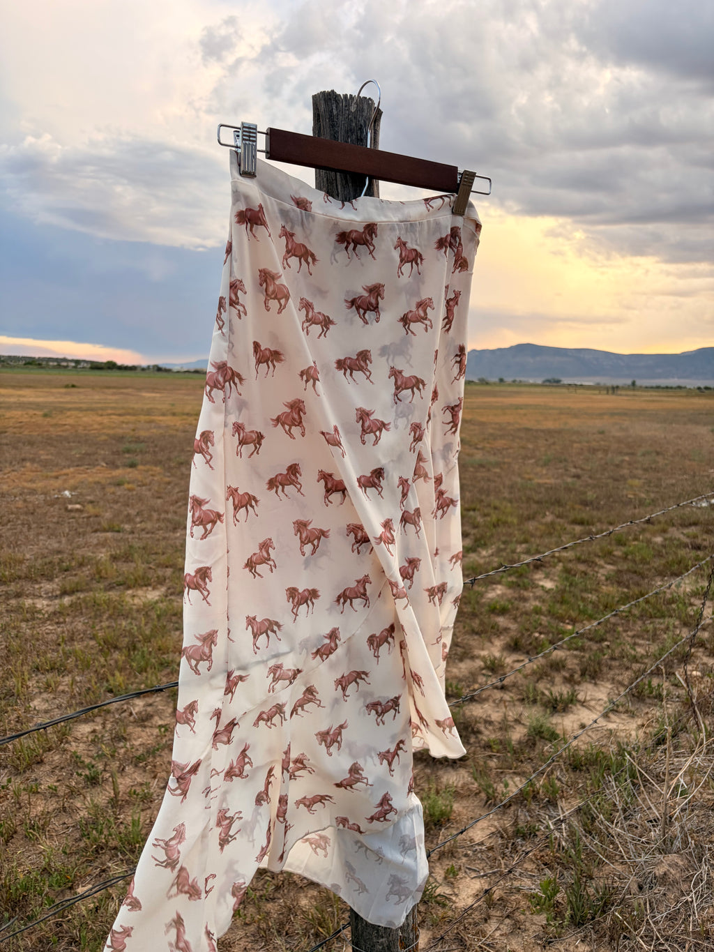 The honey horizon skirt