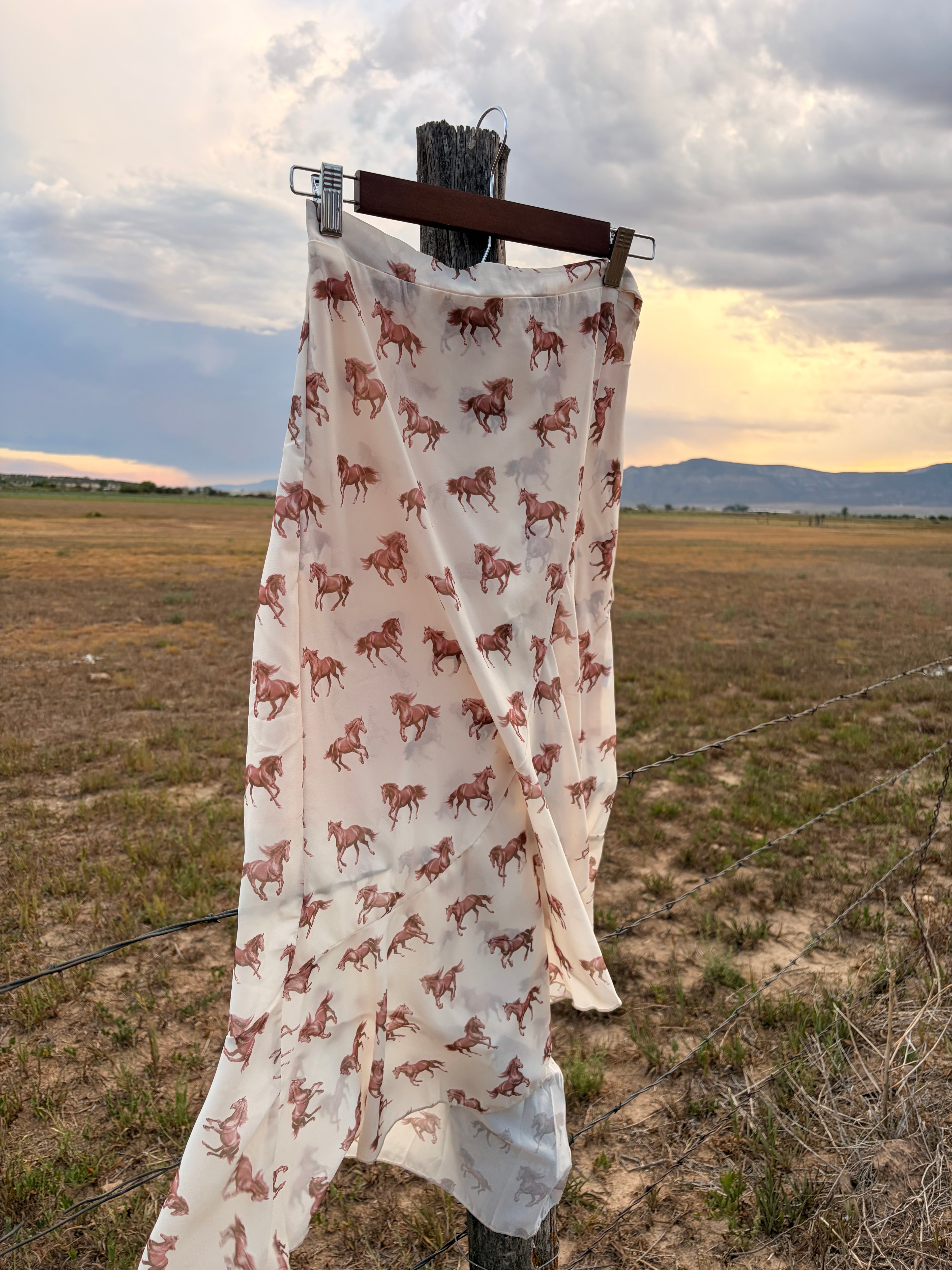 The honey horizon skirt