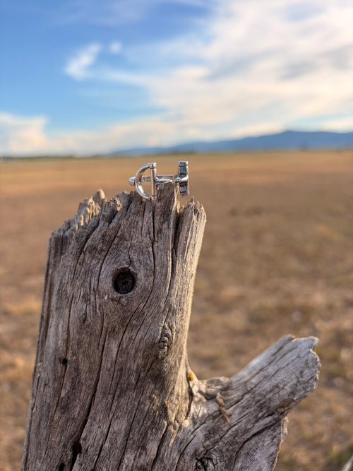 Adjustable snaffle rings