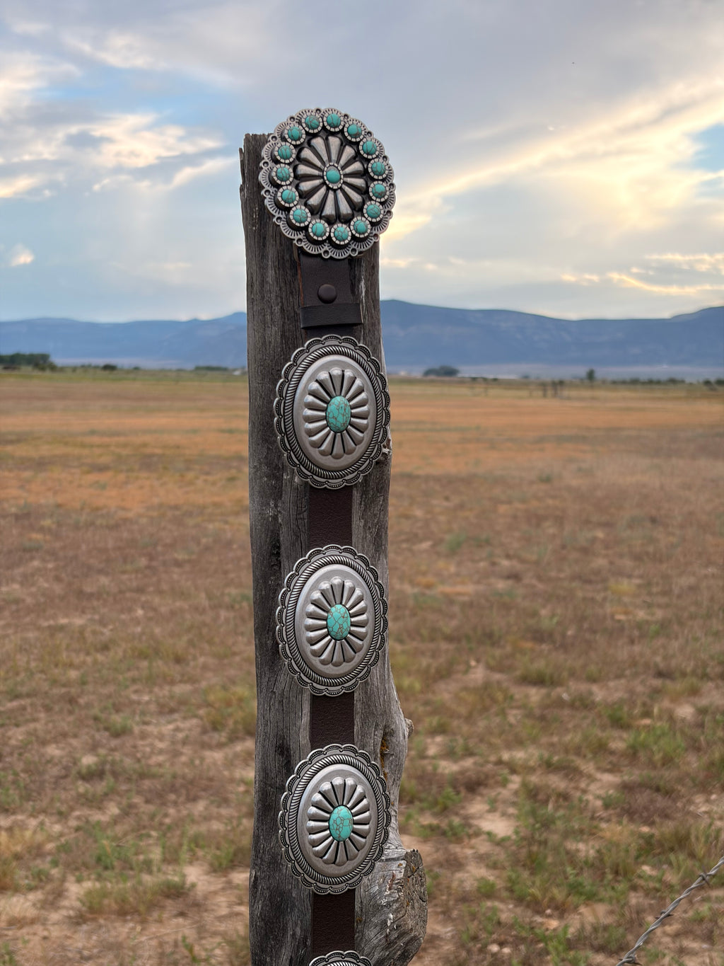 Silver sage concho belt