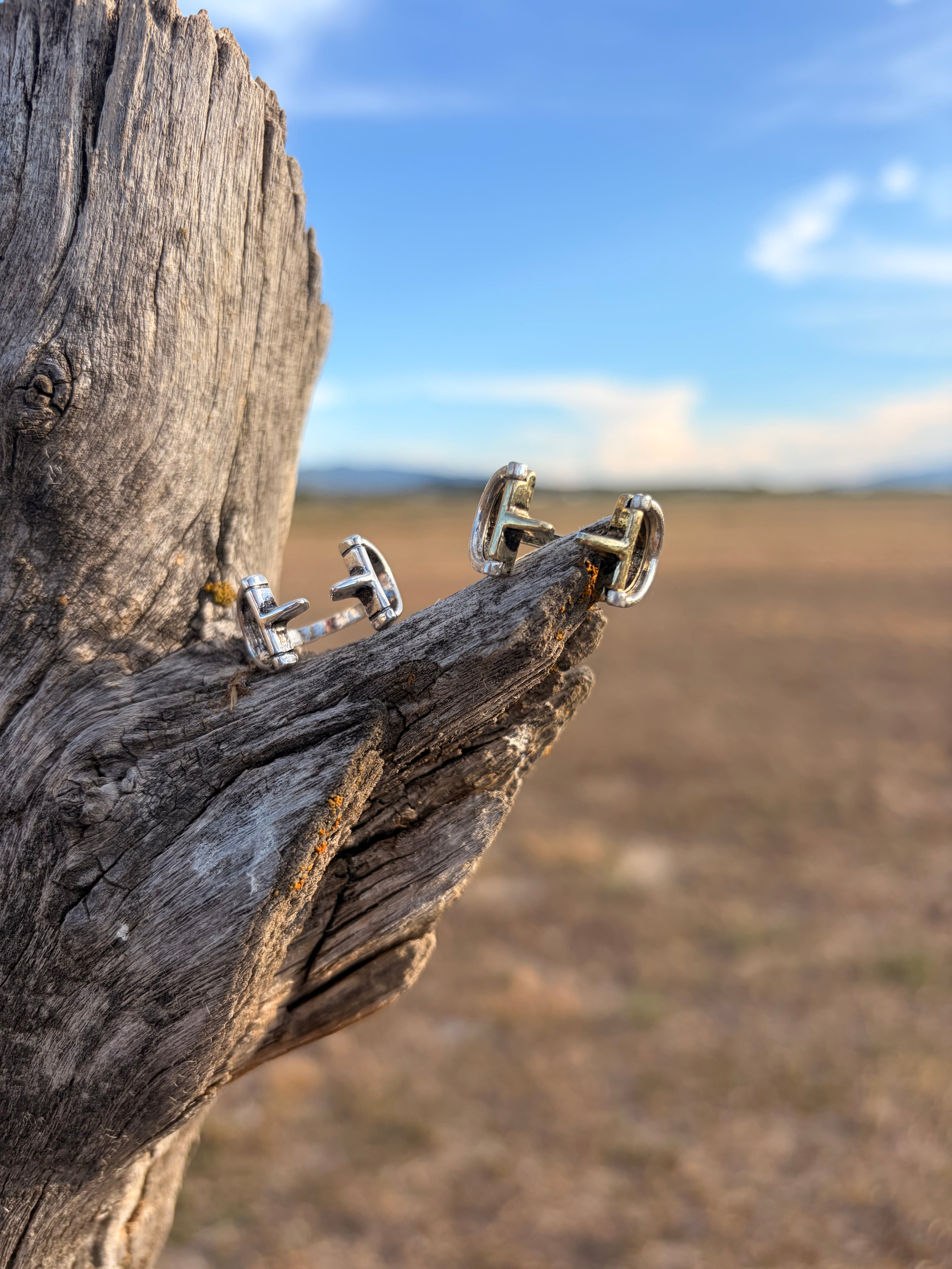 Adjustable snaffle rings