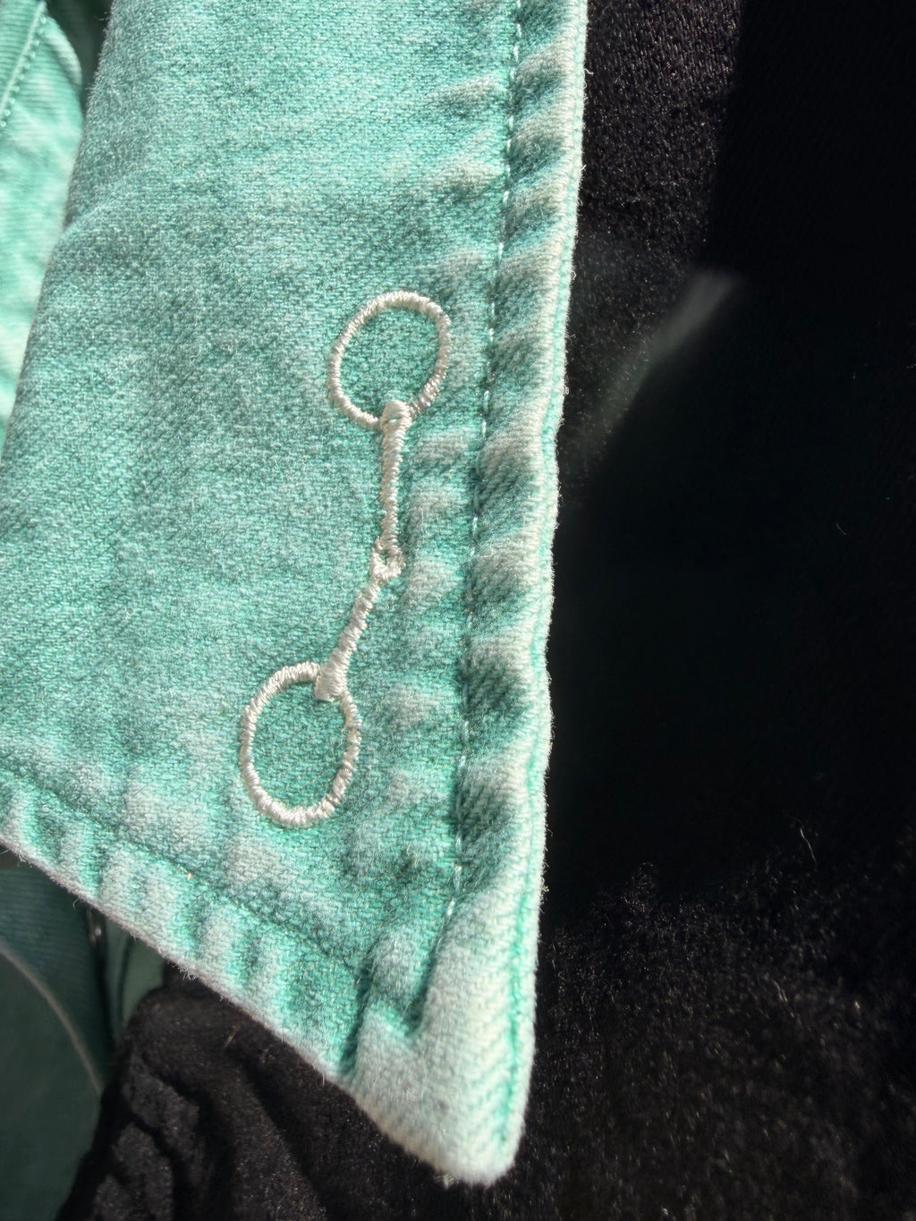 Snaffle bit pearl snap