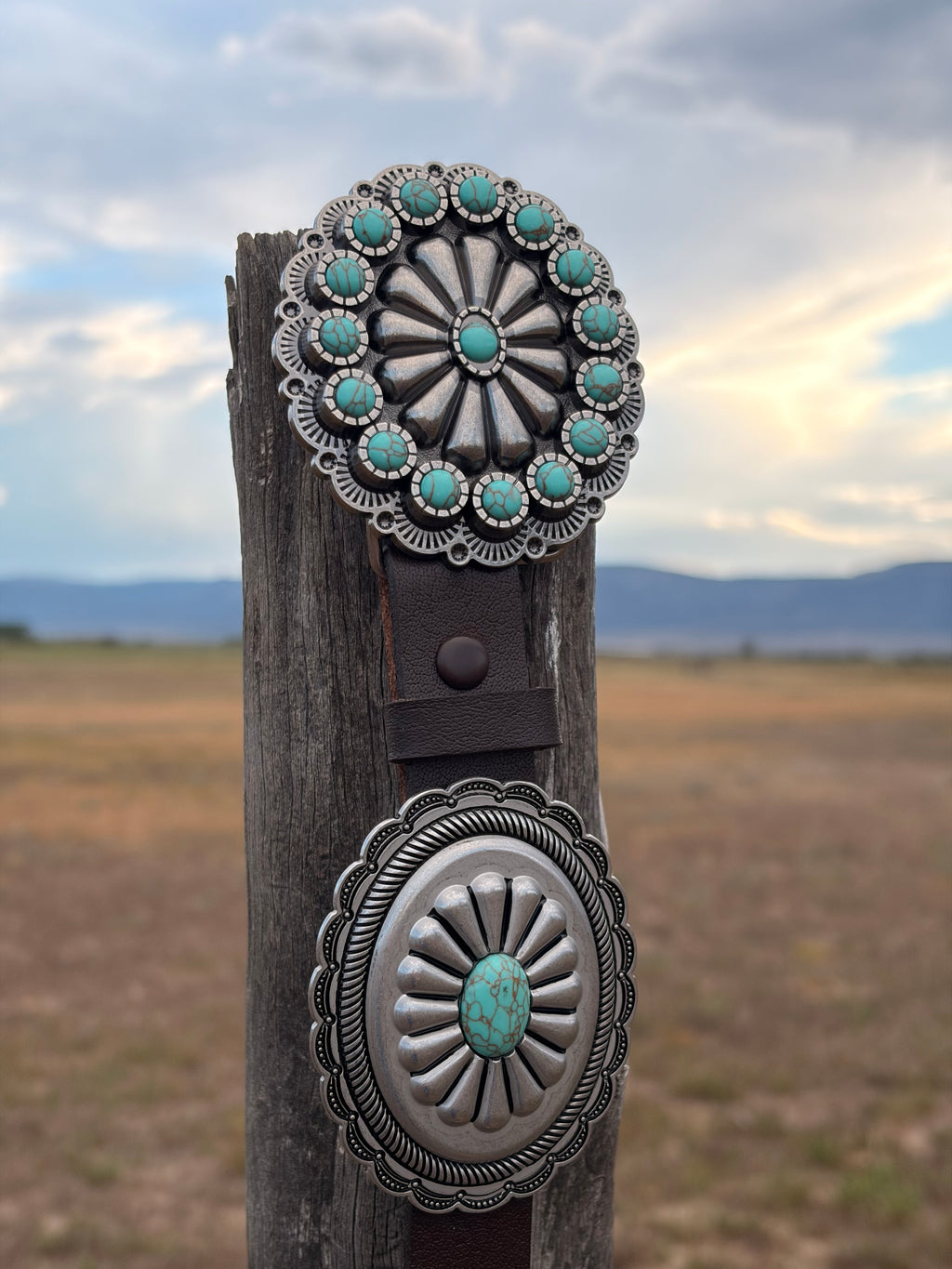 Silver sage concho belt
