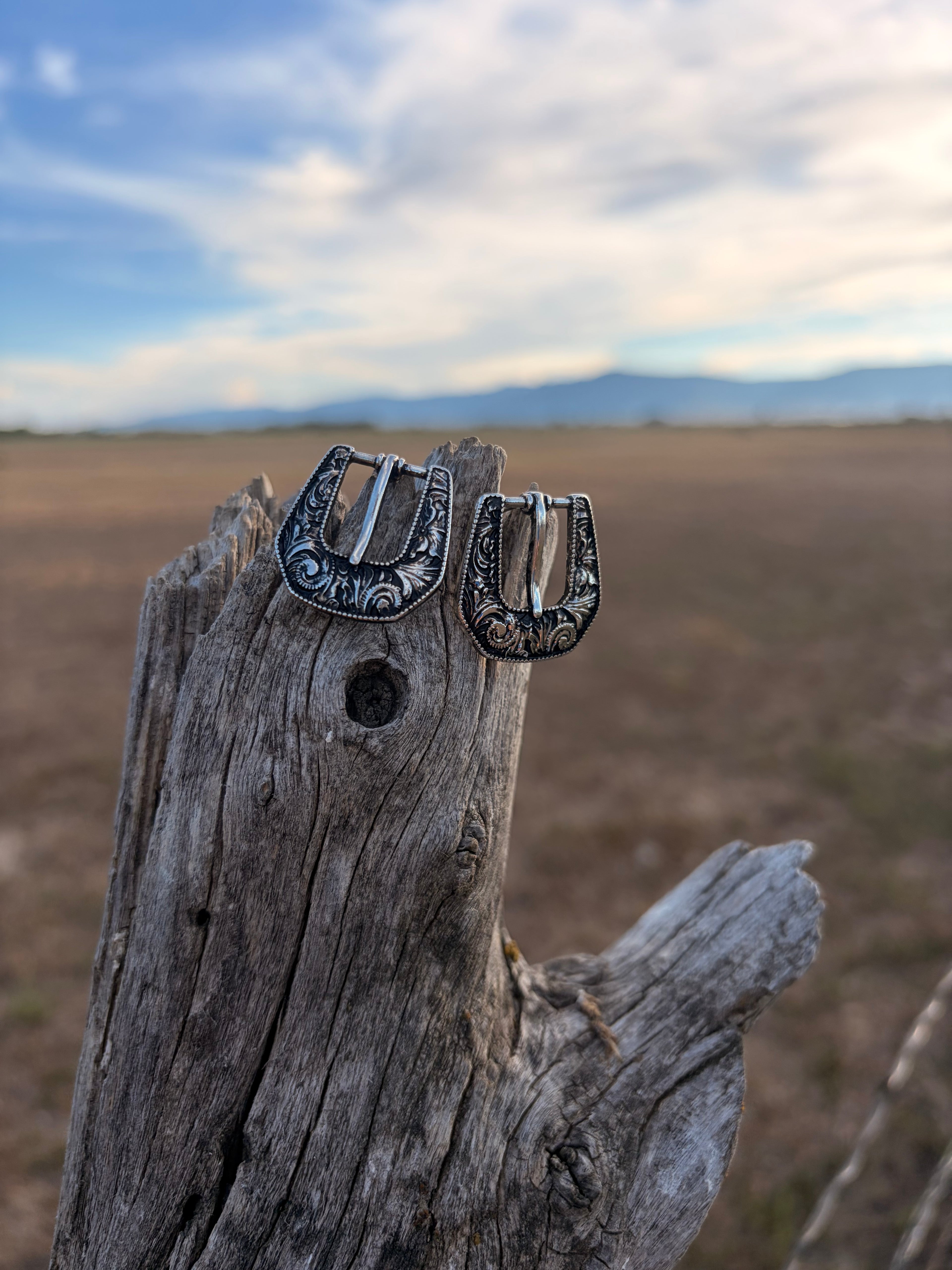Buckle up - earrings