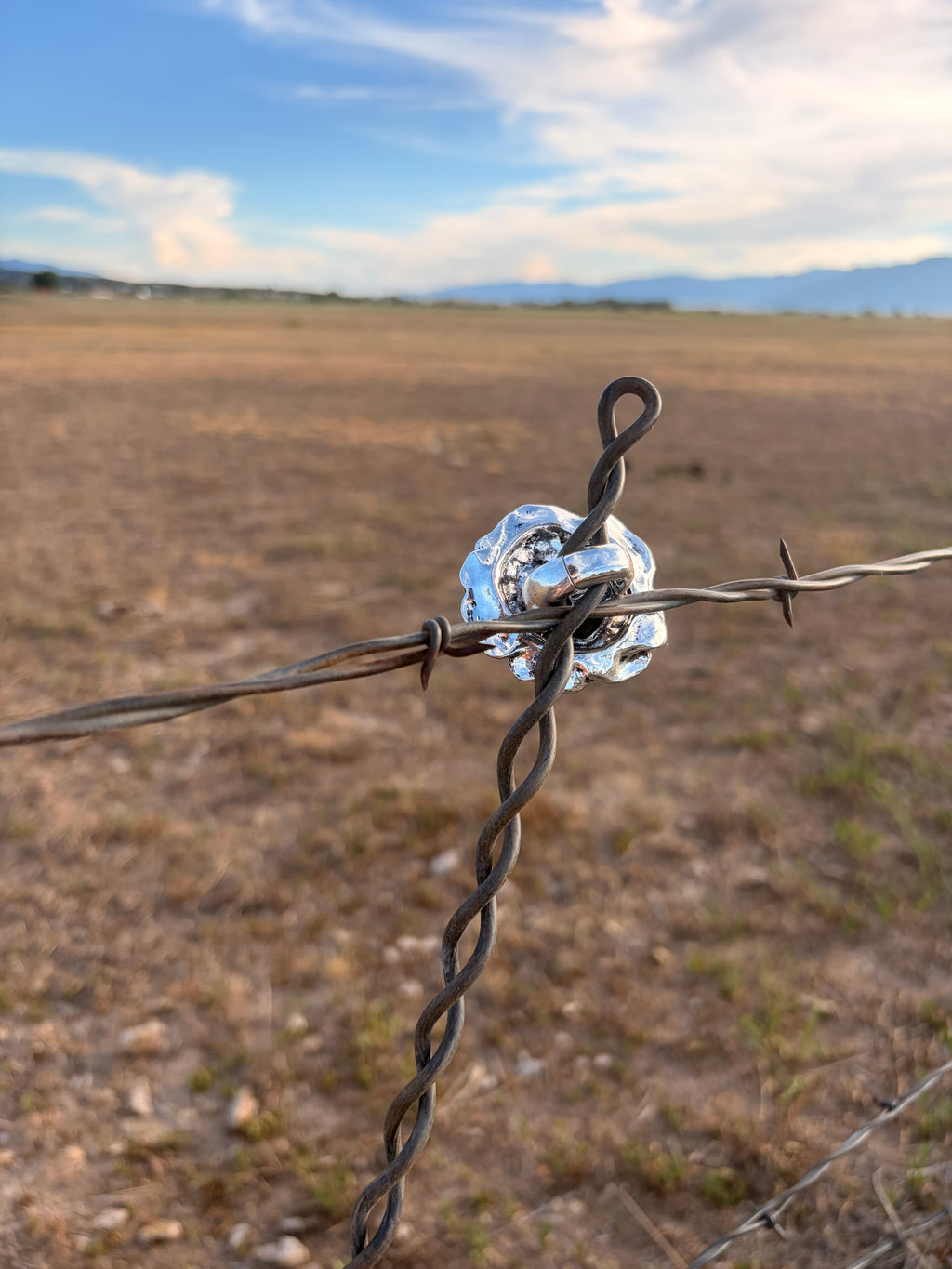 The barbed wire Rose - statement ring