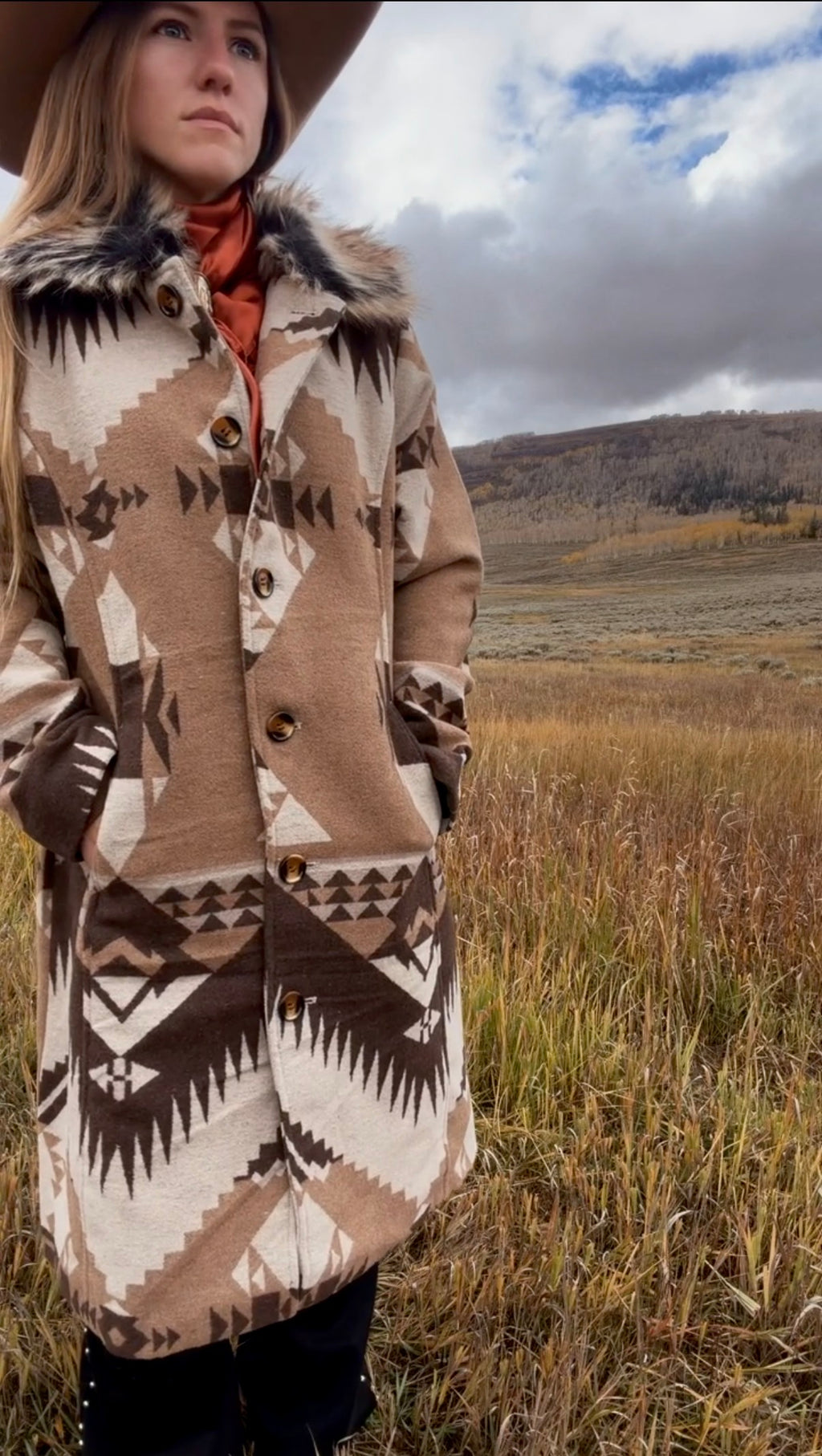 The western belle faux fur dress coat