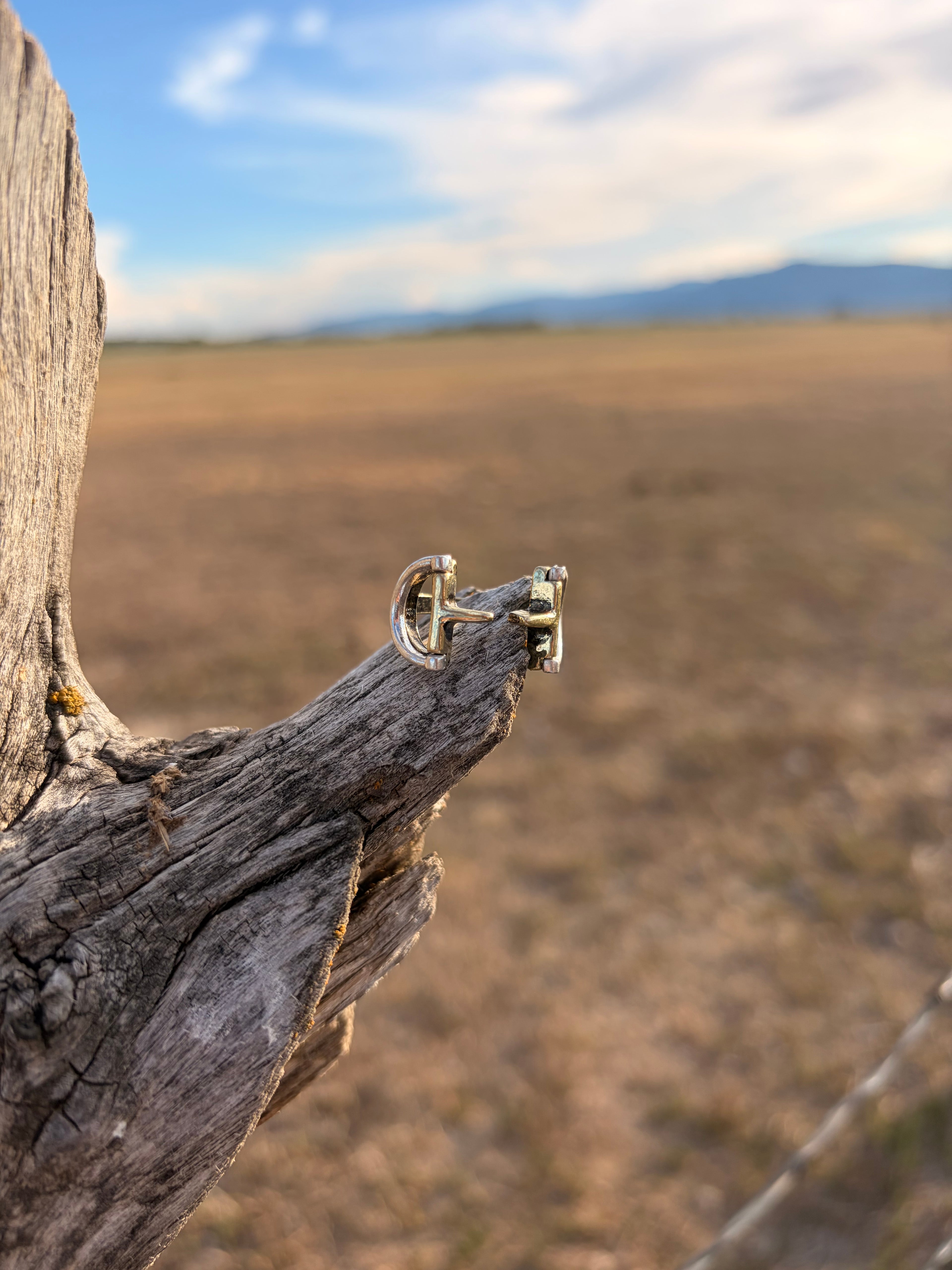 Adjustable snaffle rings