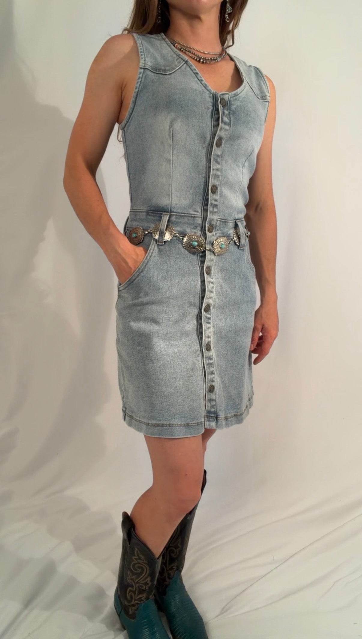 Bluebonnet denim - snap dress
