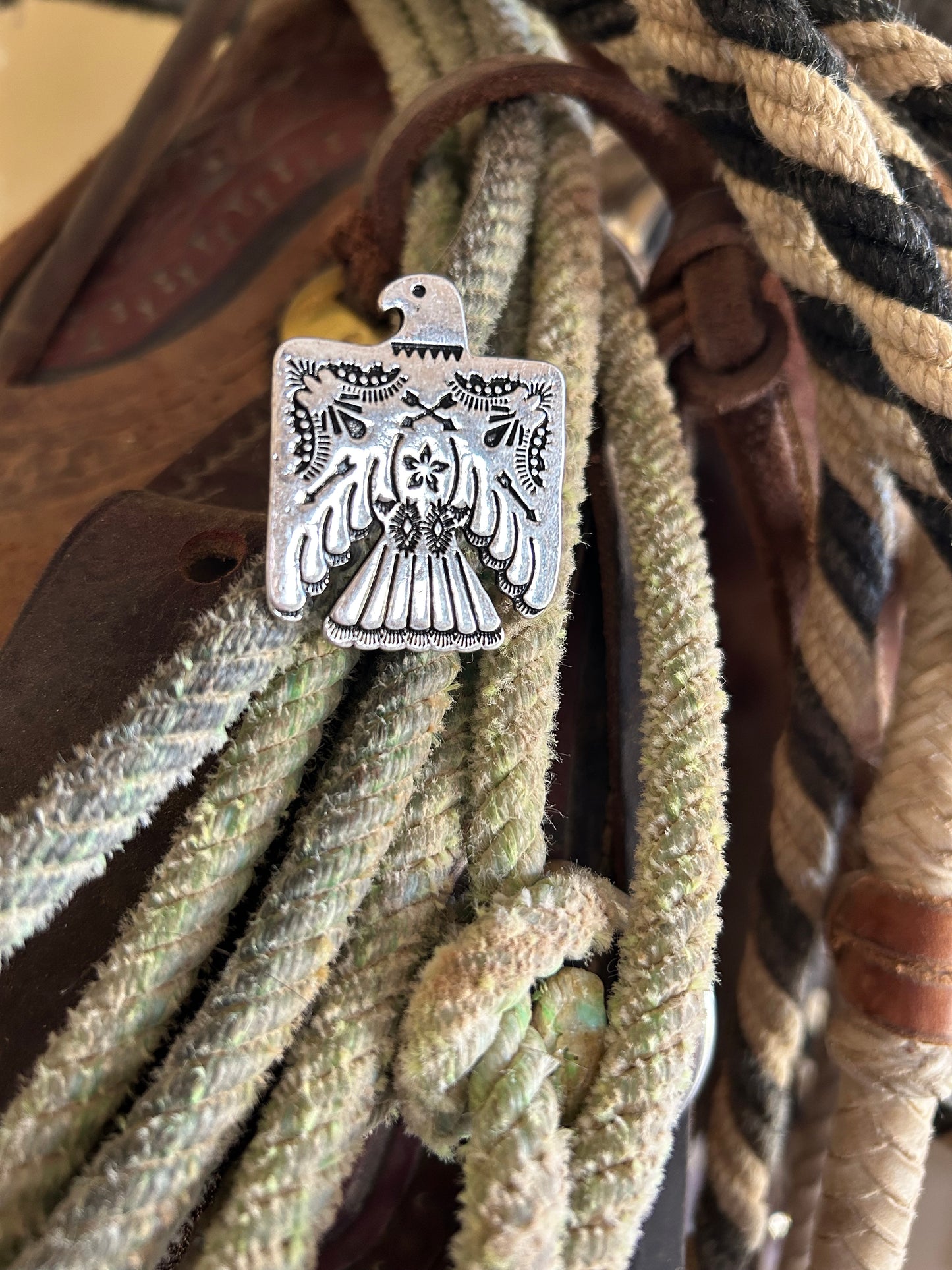 Thunderbird statement