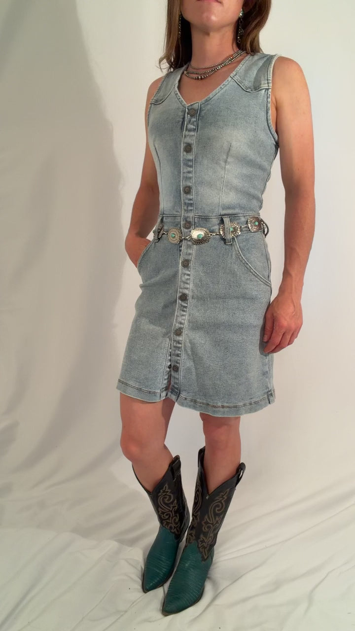 Bluebonnet denim - snap dress